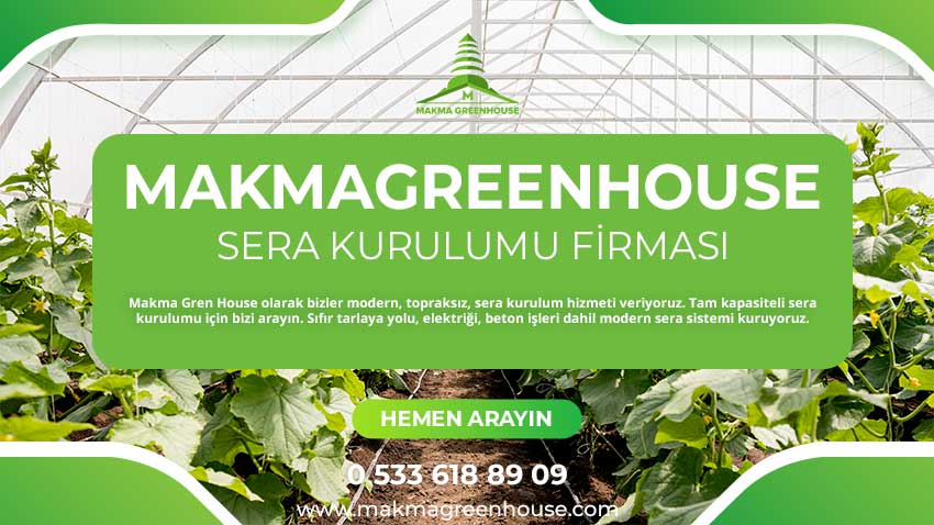 Sera kurulum firması